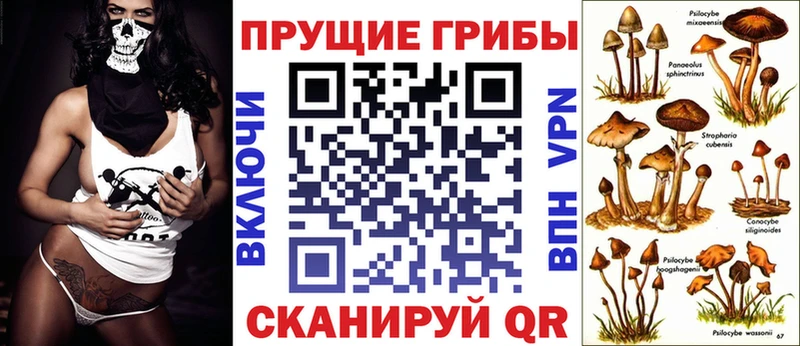 наркота  Слюдянка  Галлюциногенные грибы мухоморы 