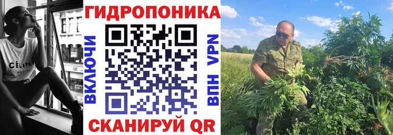 Канабис семена  Слюдянка 